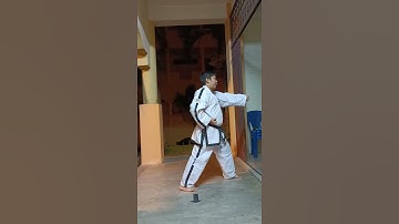 Walking Stance Stepping Obverse Punch (Forward)