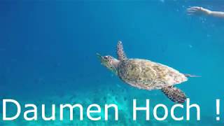 Maledives Diving In Helengeli 2 Dka Channel