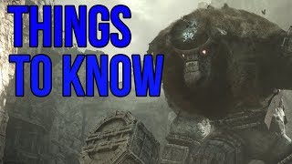 Shadow of the Colossus - 5 Things To Know screenshot 3
