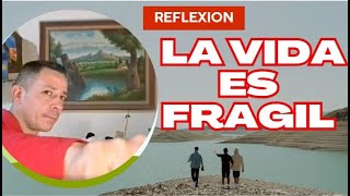 La vida es Frágil - Reflexión