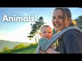 Our Homestead just got bigger! Completed jobs &amp; new arrivals!