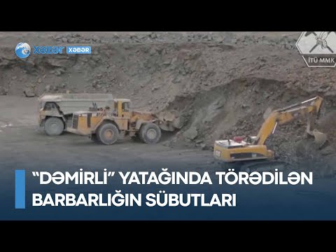 Video: Dəmirli kaktus cücə bayquşu niyə təhlükə altındadır?