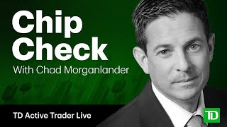 AI Mania, Credit Stress, and the Case for Quality