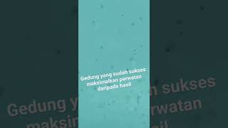 Jutaan walet yang masuk ke gedung yg sudah sukses