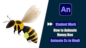 Fast Forward Tutorial Of Student Work | How to Animate Honey Bee in Animate Cc Hindi?