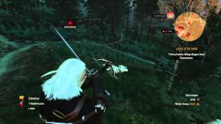 the witcher 3 sheeps glitch infinity food