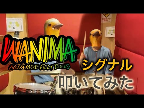 " シグナル "  WANIMA  Drum Cover 【叩いてみた】