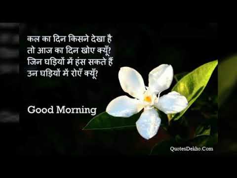 Good Morning Status Video Whatsapp Download Hindi New Hd