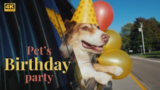 Funny Pets Birthday Party. 4K relax film by Happy Pets Space 125 views 4 months ago 17 minutes