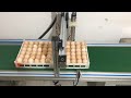 Egg Printing with Fastjet CIJ Printer