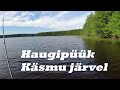 Käsmu järv - kalastame, jutustame, puhastame