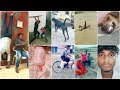 फन का पिटारा Part 1 • funny viral video