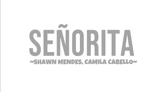 Shawn Mendes, Camila Cabello - Señorita (lyrics video)