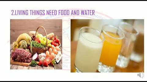 CLASS 3 - SCIENCE - "THINGS AROUND US" - DAY 8