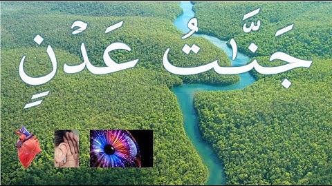 مراجعة بعض أحكام التجويد حروف الإستفال من سورة الكهف 9