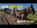 Luís Jiménez Mulos a la Larga - RoGo VloG