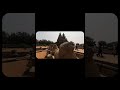 Frames of Mahabalipuram 😍