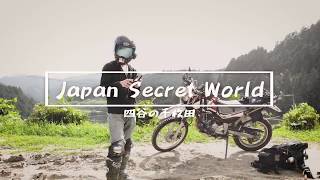 Japan Secret World 四谷の千枚田 [mavic air]