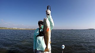 Download Lagu Shallow Flats Redfish And Trout MP3 Download Lagu Shallow Flats Redfish And Trout MP3