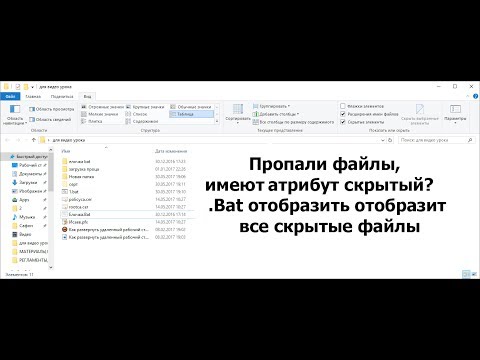 Как отобразить скрытые файлы с помощью Bat файла