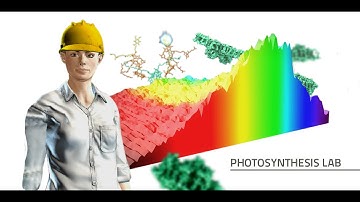Labster Virtual Lab: Photosynthesis Simulation