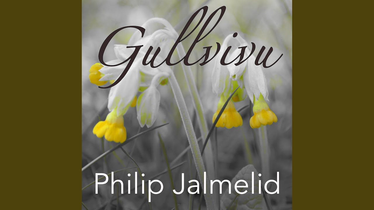 Gullvivu Gullvivu