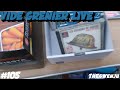 105 vide grenier live  le retour de la ppite ps1