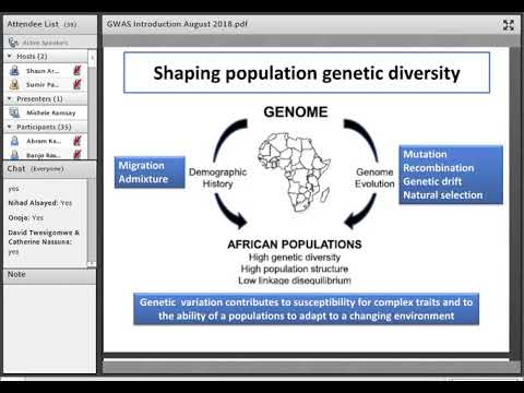 Video: Studie Asociace Pro Celý Genom (GWAS) Pro Morfologické A Výnosové Rysy V Populaci Hybridů Olejných Palem (Elaeis Oleifera X Elaeis Guineensis)