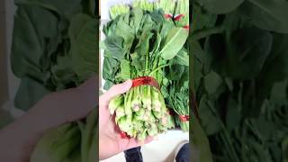 How To Grow Spinach Plant At Home In 10 Days