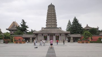 Fameno-templo, Ŝenŝjio