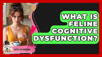 What Is Feline Cognitive Dysfunction? - Happy Cat Handbook