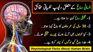 Psychology Facts In Urdu | Psychology Facts About Human Behavior | نفسیات
