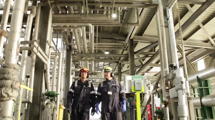 Greenergy biodiesel production