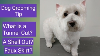 What is a Tunnel Cut? Faux Skirt? Breezeway? Dog Grooming Tip!!
