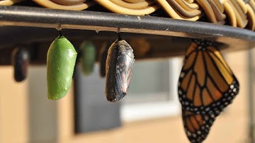 Mapping is everything - ROM custom mappers explained | Hanami Mastery PRO - Episode #030