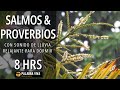 Salmos y proverbios para dormir  sonidos de lluvia  sin msica  8 hrs