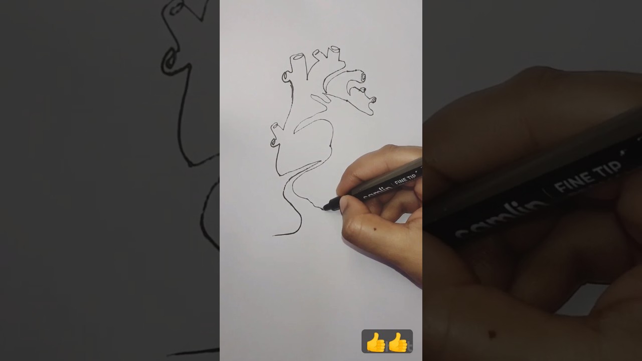 one line heart  drawing💕