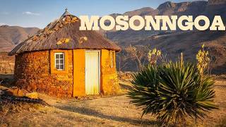 Mosonngoakhaolo Ea Bohlanometlakhola