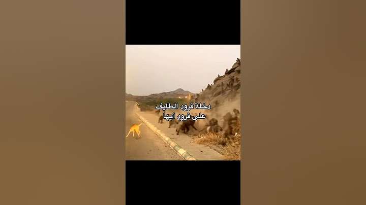 دخلة قرود الطايف على قرود أبها 😂 #اكسبلور