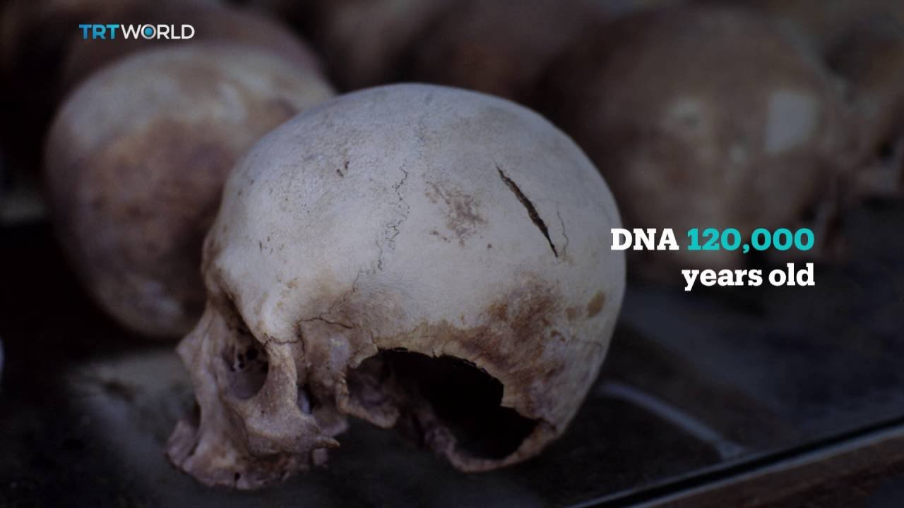 Africa DNA: Interview with Luca Pagani from Estonian Biocentre