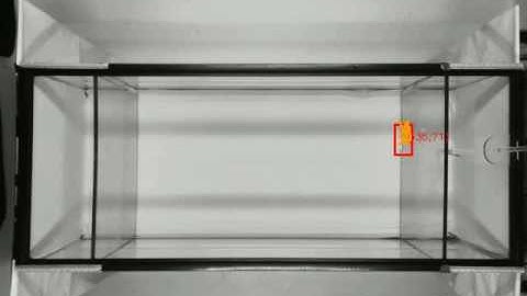 Robotic Replica Zebrafish Interacts with Live Zebrafish