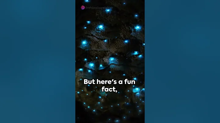 Firefly insect #shorts