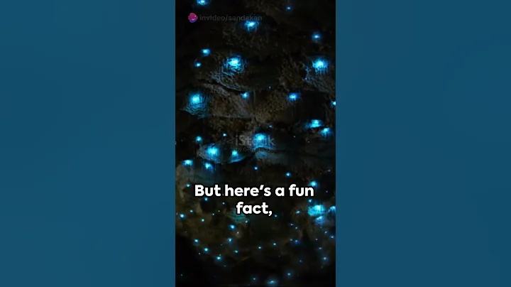 Firefly insect #shorts