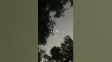 وإذ قال موسى لفتاه لا أبرح حتى أبلغ مجمع البحرين | سورة الكهف | الشيخ ياسر الدوسري #اكتب_شي_تؤجر_علي
