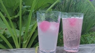 Rhubarb Juice Recipe - delicious easy summer drink - sugar free - paleo primal