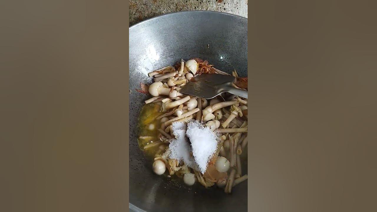 Masroom Recipe #song #masroomrecipe #masroom #recipe #tasty #yummy #yummfood @KHANARECIPE-6520