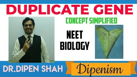 DUPLICATE GENE | INTERGENIC / NONALLELIC | Principles of Inheritance Class 12 CBSE #NEET #Dipenism