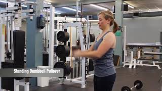Standing Dumbbell Pullover