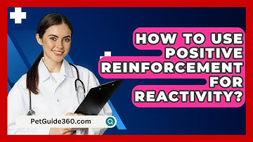 How To Use Positive Reinforcement For Reactivity? - PetGuide360.com