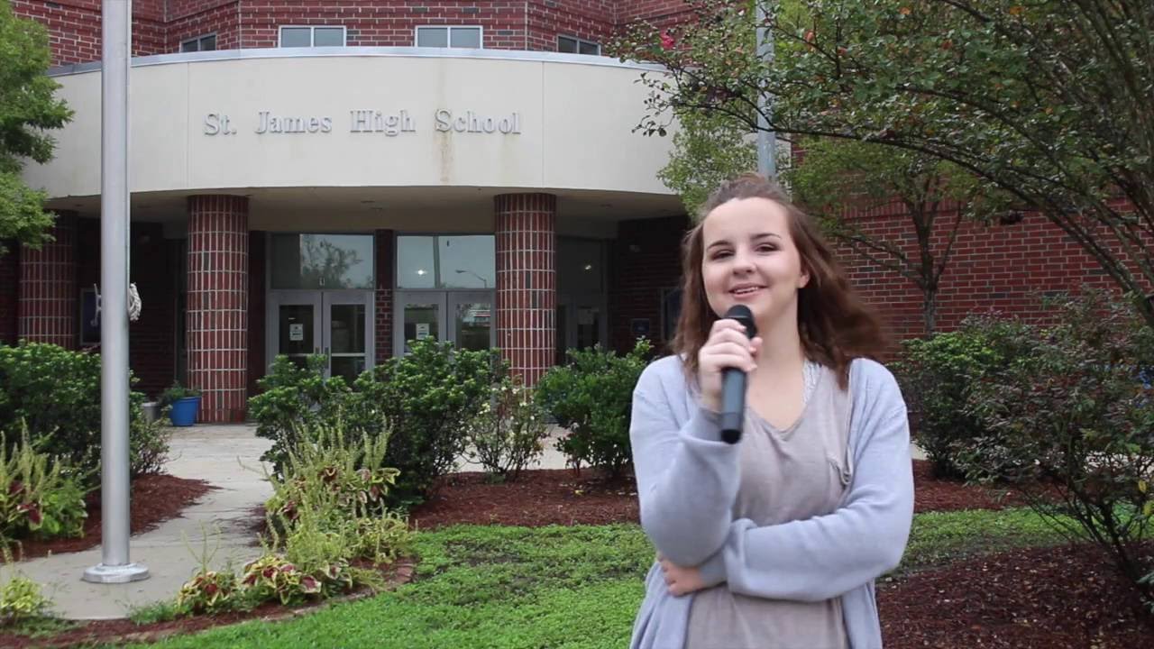 newspaper mockup Shark Attack Online Our Principal